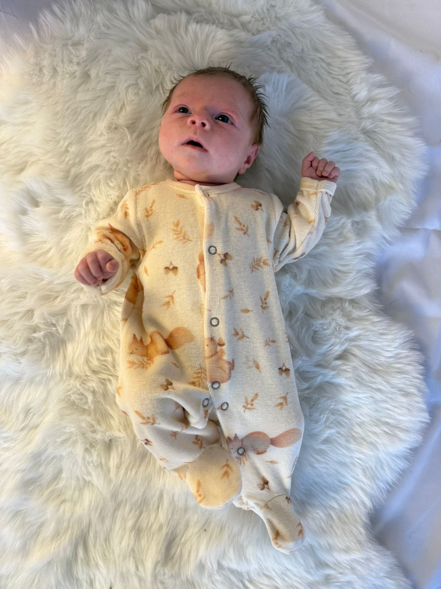 pyjama eekhoorn
