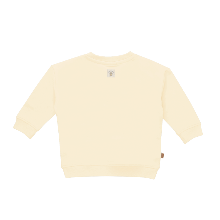 Sweater go surfing